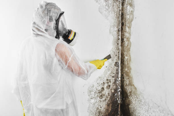 Water Damage Restoration in Homestead, PA