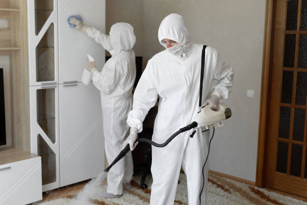 Mold Removal and Inspection in Homestead, PA